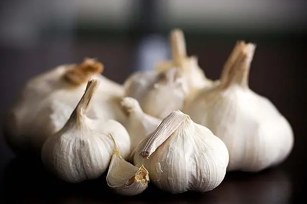 Quality Chinese fresh white garlic good price wholesale