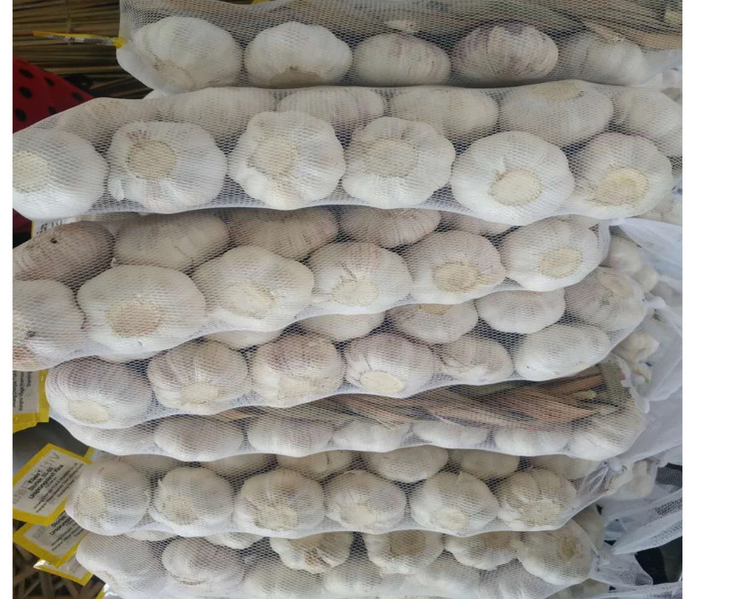 Quality Braid Garlic For Sale, Price Of Garlic Cloves, To Buy Fresh Garlic wholesale