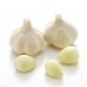 Buy cheap Fresh White Garlic with SGS Certificate from wholesalers