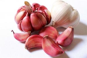Quality Red Fresh Garlic Red with Cheap Price wholesale