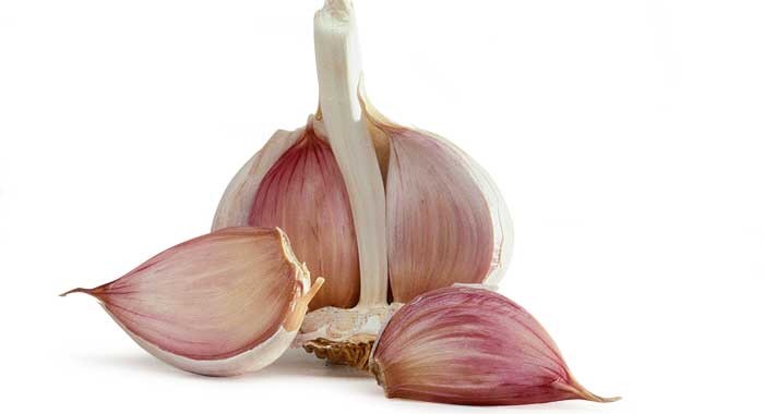 Quality Hot sale red garlic from chinese farm wholesale