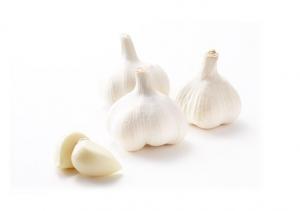 Quality Natural Fresh White Garlic Wholesales wholesale