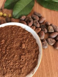 Quality Fine Organic Alkalized Brown Cocoa Powder Negative Pathogenic Bacteria wholesale