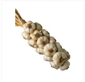 Quality New Crop Braid Garlic For Sale From Chinese Supplier wholesale