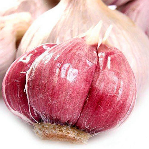 Quality New Season Top Quality Red Garlic wholesale