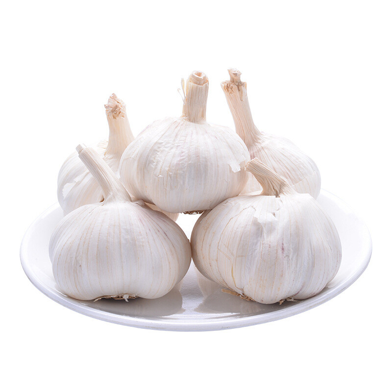 Quality Chinese Normal White Fresh Garlic in 10kg mesh bag Packing wholesale