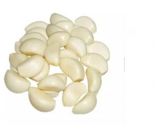 Quality White pure fresh peeled garlic Large Quantity wholesale