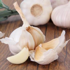 Quality Peeled Vacuum Packed Garlic Cloves Peeled Garlic wholesale