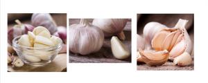 Quality Thick Bright Skin Normal White Garlic 200g / 250g / 500g / 1000g / Net Bag wholesale