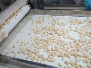 Quality Fresh peeled garlic produced in China wholesale