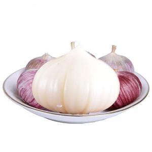 Quality Fresh New Crop Of Solo Garlic Single Clove Garlic From Best Food wholesale