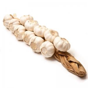 Quality Fresh Braid Garlic wholesale