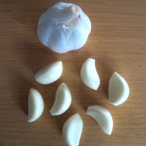 Quality Top Quality Fresh Vacuum Peeled Garlic wholesale