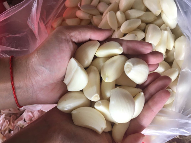 Quality New Crop Frozen Fresh Peeled Garlic wholesale