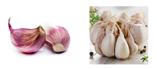 Quality Fresh Nutrition Normal White Garlic of China wholesale