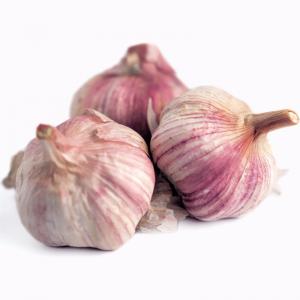 Quality Wholesale New Product Chinese Vegetables Purple Garlic wholesale