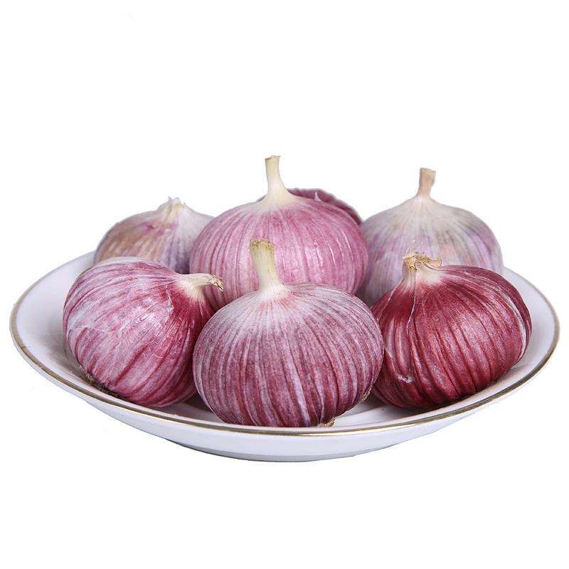 Quality Fresh Single Clove Garlic/Frozen Garlic Cloves/Frozen Peeled Garlic wholesale