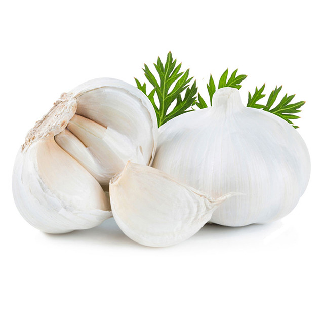 Quality Fresh White Garlic with SGS Certificate wholesale