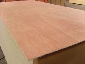 Quality Bintangor Face / Back Commercial Plywood 8% - 14% Moisture Content No Harm For Kids wholesale