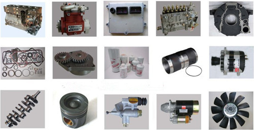 Quality Genuine Cummins Diesel Engine Part Fuel Pump Gear 3931380 3918778 3923578 wholesale