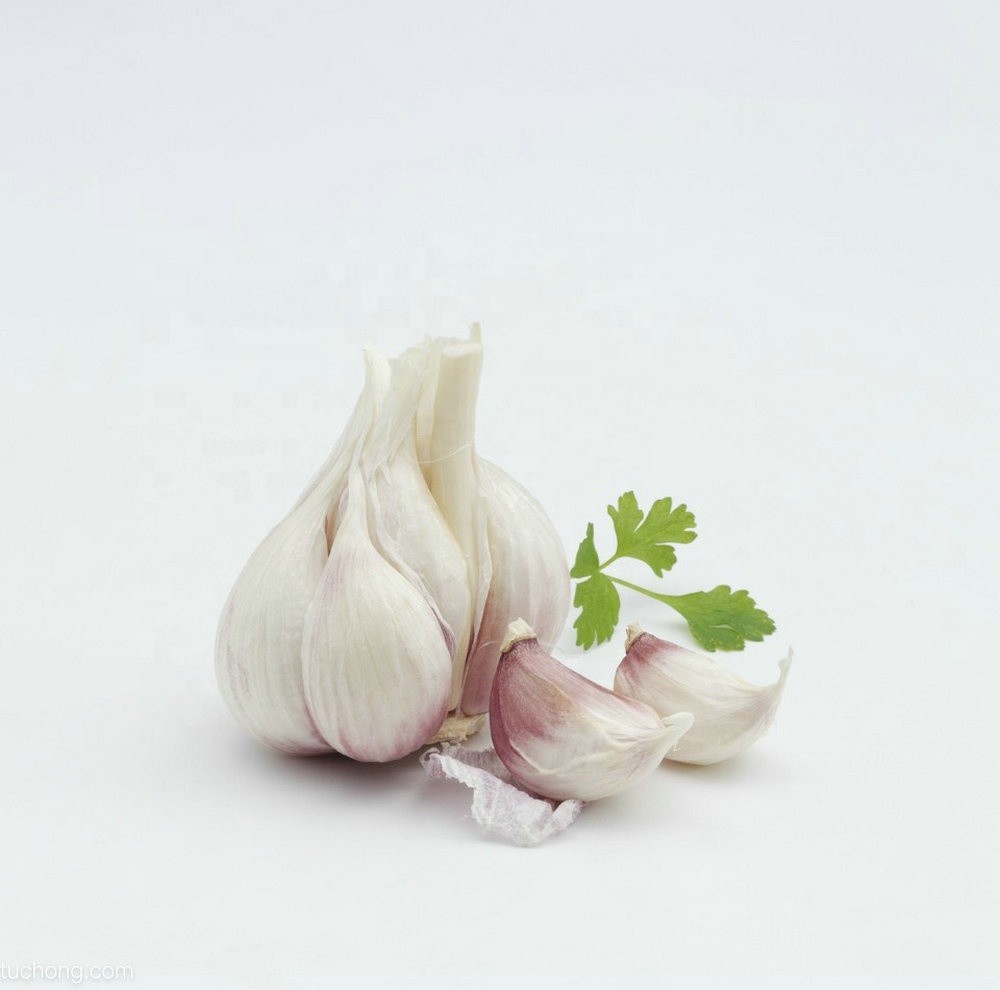 Quality Fresh White Garlic with SGS Certificate wholesale
