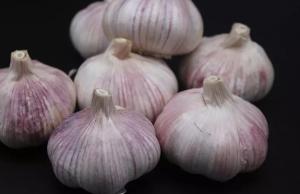 Quality 2019 normal white purple fresh garlic wholesale