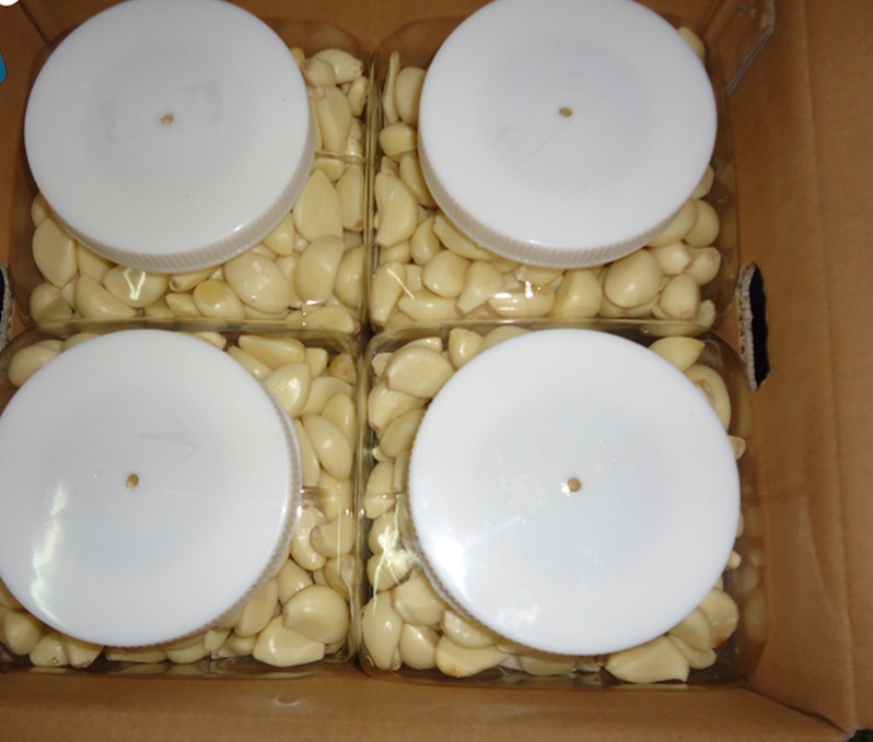 Quality Fresh peeled garlic produced in China wholesale