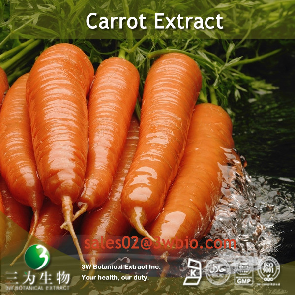 Buy cheap Carrot Root Powder Extract from wholesalers