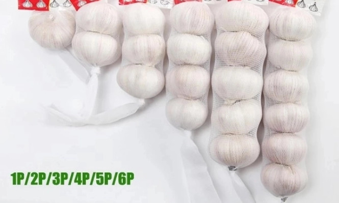 Quality Supplier wholesale new crop fresh chinese 3p pure white garlic with best price wholesale