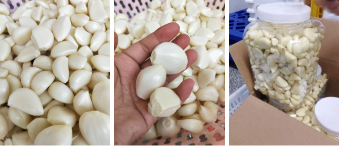 Buy cheap 2019 new peeled garlic from wholesalers