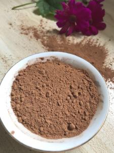 Quality NF02 Dark Brown Natural Low Fat Cocoa Powder 4%-8% Fat Content , 5.0-5.8 PH Value wholesale