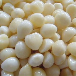 Quality Natural Garlic/Fresh Peeled Garlic Bulk wholesale