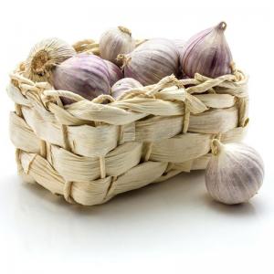 Quality Wholesale market price for chinese normal white fresh garlic wholesale