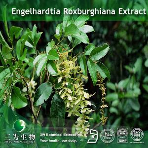 Quality Engelhardtia Extract wholesale