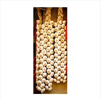 Quality New Crop Garlic Braid wholesale