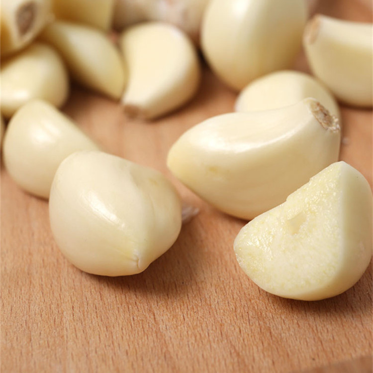 Quality Normal white garlic 5.5cm wholesale