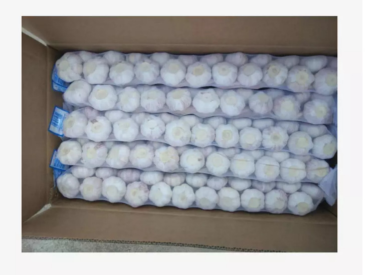 Quality Fresh Garlic Packaging Single Clove Garlic Braids wholesale