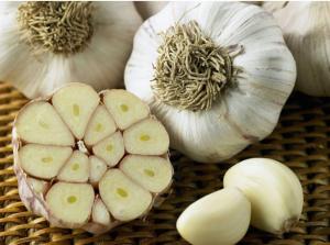 Quality Chinese Fresh Peeled Garlic 1KG Per Jar Export To Israel wholesale