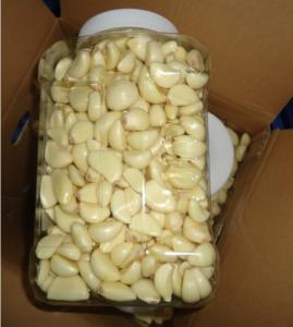 Quality 2019 China Fresh peeled Garlic on sale wholesale