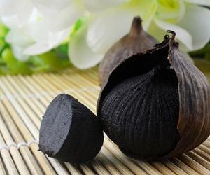 Quality 100% Pure Organic Fermenter Black Garlic wholesale