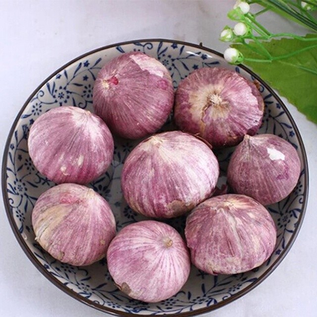 Quality 2019 Crop Purple Garlic (6.0cm&up) wholesale