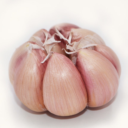 Quality Chinese Normal White Garlic Supplier wholesale