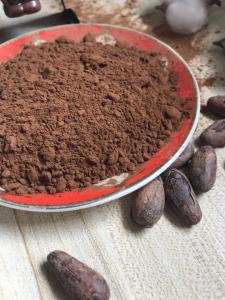 Quality FIRST 10-14% Brown Alkalized Cocoa Powder HALAL Characteristic Cocoa Flavour wholesale