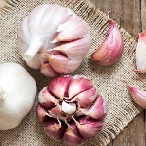 Quality Normal Fresh Garlic Purple Garlic in 1kg x 10bags/carton wholesale