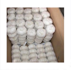 Quality Bulk Braid Garlic For Sale wholesale