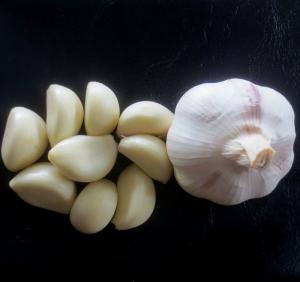Quality Fresh natural style fresh peeled garlic price exporters wholesale