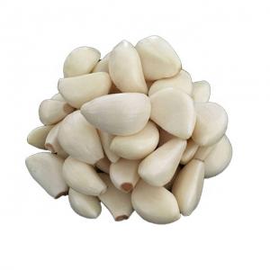 Quality China Fresh white garlic peeled wholesale