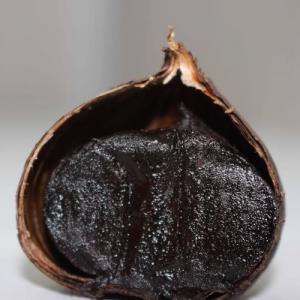Quality Professional Top Quality Black Garlic Export wholesale