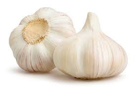 Quality Wholesale Importer Chinese Garlic Fresh wholesale