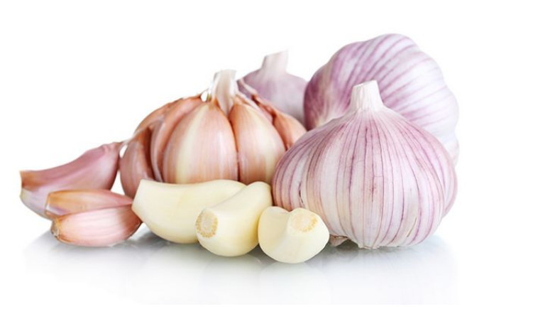 Quality New Crop Fresh Garlic wholesale